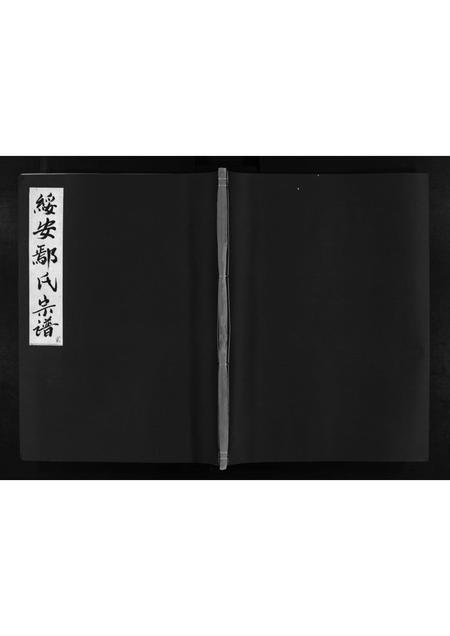 福建鄢氏族谱-绥安鄢氏宗谱 [16卷,含首1卷].pdf电子版插图