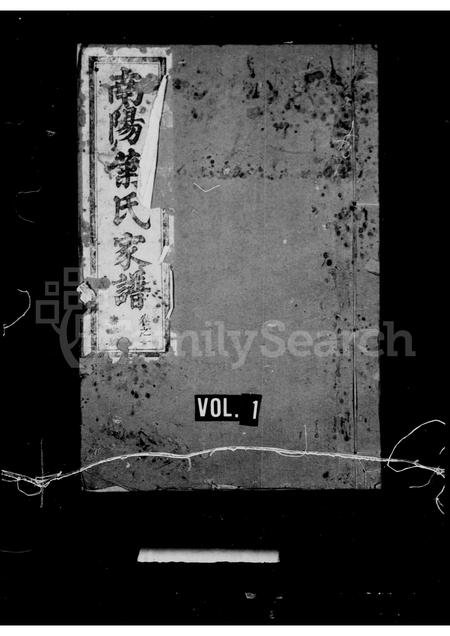 福建叶氏族谱-南阳叶氏济美堂家乘 [4卷].pdf电子版插图