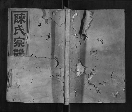 福建陈氏族谱-陈氏宗谱[34卷,首1卷].pdf电子版插图