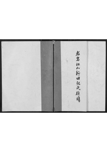 福建张氏族谱-龙巖江山新田张氏族谱.pdf电子版插图