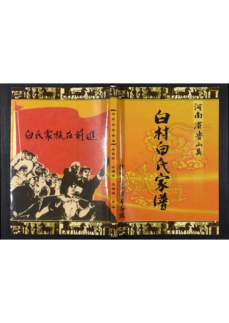河南白氏族谱-白村白氏家谱.pdf电子版插图