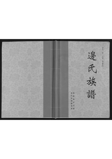 河南边氏族谱-边氏族谱[不分卷].pdf电子版插图
