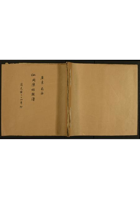 广东陈氏族谱-广东南海仙冈陈姓族谱.pdf电子版插图