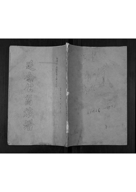 广东陈氏族谱-陈氏族谱[不分卷].pdf电子版插图