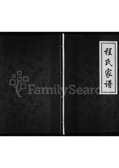 河南程氏族谱-程氏家谱.pdf电子版