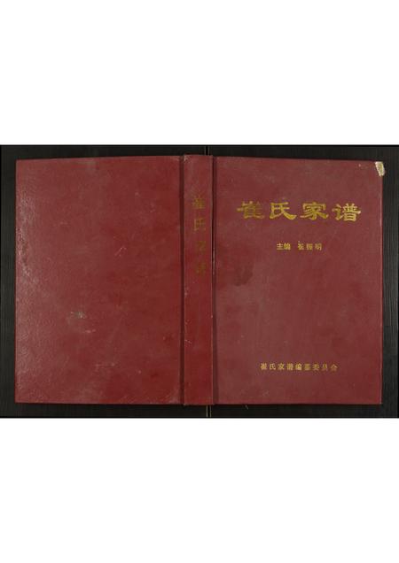 河南崔氏族谱-崔氏家谱.pdf电子版插图 河南崔氏族谱-崔氏家谱.pdf电子版插图