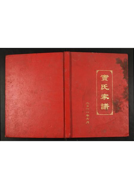 河南窦氏族谱-窦氏家谱.pdf电子版插图