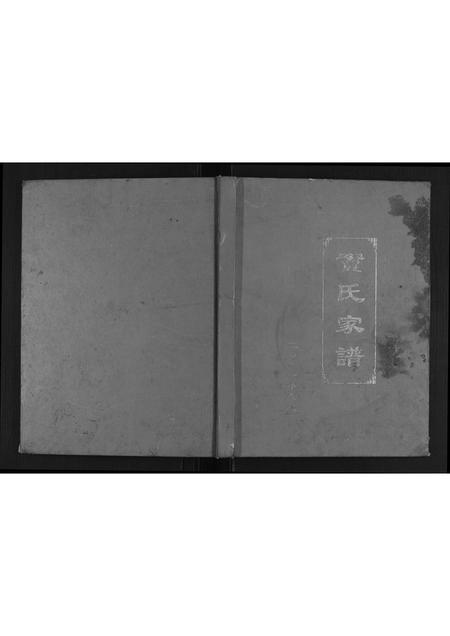 河南窦氏族谱-窦氏家谱.pdf电子版插图