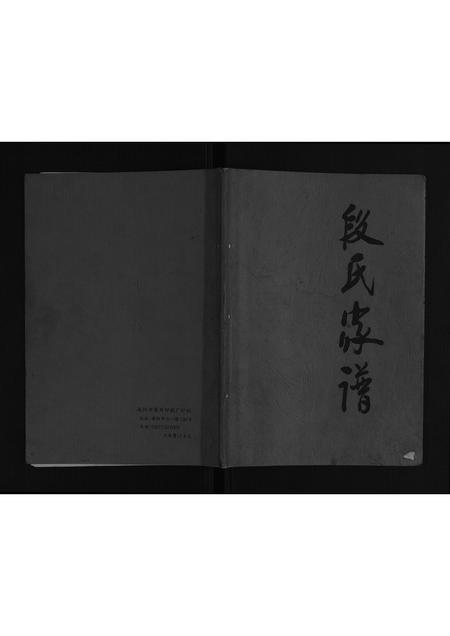 河南段氏族谱-段氏家谱[不分卷].pdf电子版插图