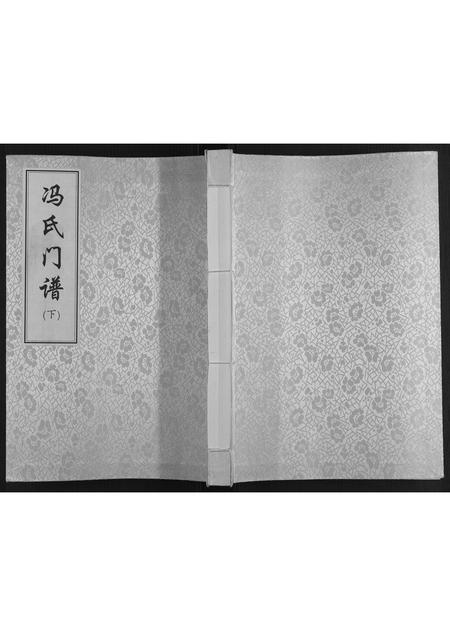河南冯氏族谱-冯氏门谱[上下卷].pdf电子版插图