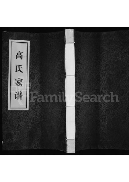 河南高氏族谱-高氏家谱.pdf电子版插图 河南高氏族谱-高氏家谱.pdf电子版插图