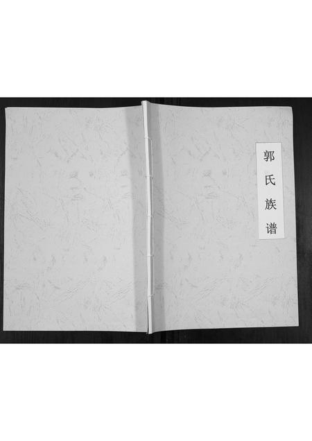 河南郭氏族谱-郭氏族谱[不分卷].pdf电子版