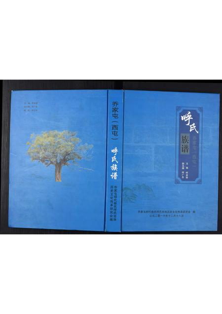 河南呼氏族谱-呼氏族谱[不分卷].pdf电子版