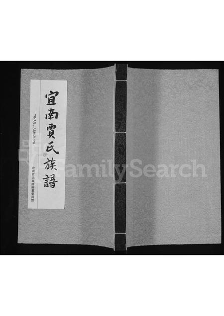 河南贾氏族谱-宜南贾氏族谱.pdf电子版