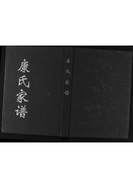 河南康氏族谱-康氏家谱.pdf电子版插图