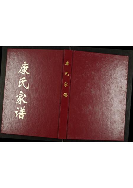 河南康氏族谱-康氏家谱.pdf电子版插图