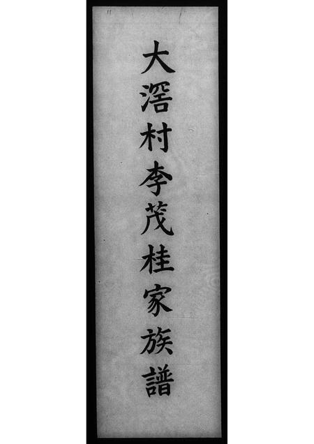 广东李氏族谱-大滘村李茂桂家族谱.pdf电子版插图