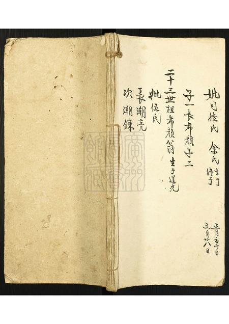 广东李氏族谱-[李氏]小族谱.pdf电子版插图