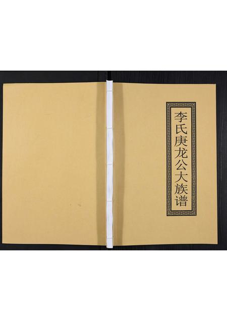 广东李氏族谱-李氏庚龙公大族谱.pdf电子版插图