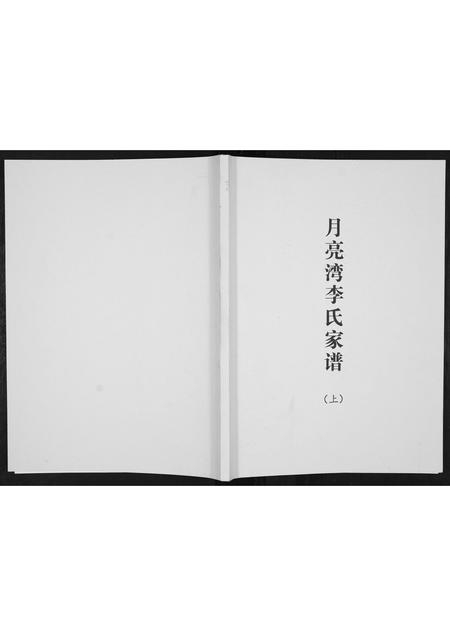 河南李氏族谱-月亮湾李氏家谱.pdf电子版