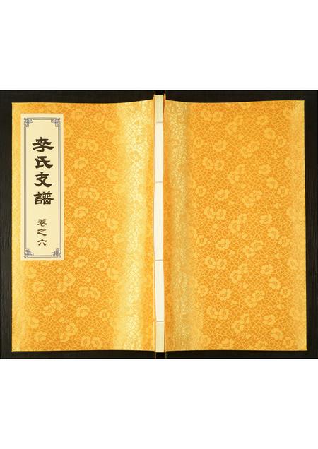 河南李氏族谱-李氏支谱.pdf电子版