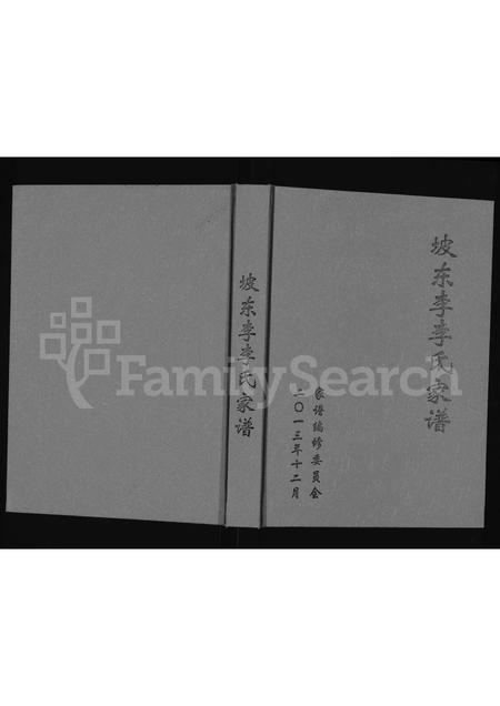 河南李氏族谱-坡东李李氏家谱 [不分卷].pdf电子版