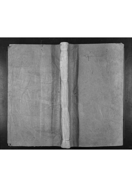 广东林氏族谱-广东嘉应州林氏族谱[不分卷].pdf电子版