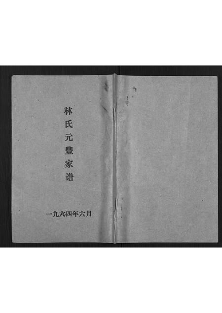广东林氏族谱-林氏元丰家谱.pdf电子版插图