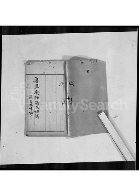 广东罗氏族谱-普宁南径罗氏族谱.pdf电子版插图