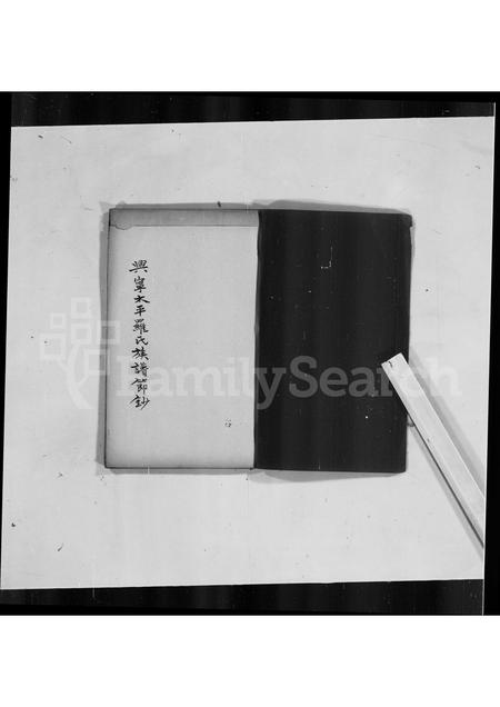 广东罗氏族谱-兴宁太平罗氏族谱节钞.pdf电子版