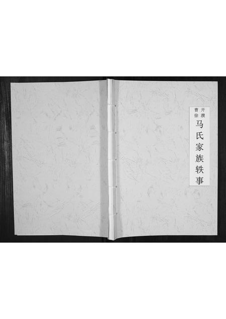 河南马氏族谱-开濮曹徐马氏家族轶事[不分卷].pdf电子版插图