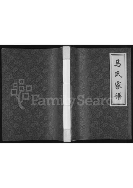 河南马氏族谱-马氏家谱.pdf电子版插图