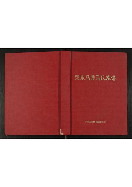 河南马氏族谱-马氏家谱.pdf电子版插图