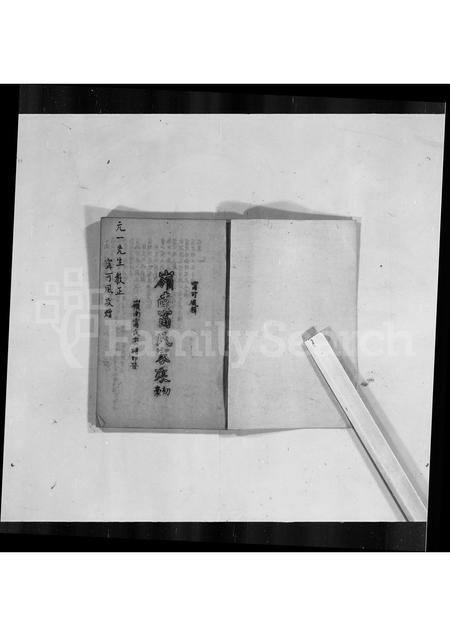 广东甯氏族谱-岭南甯氏家乘初稿.pdf电子版插图