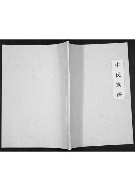 河南牛氏族谱-牛氏族谱[不分卷].pdf电子版插图