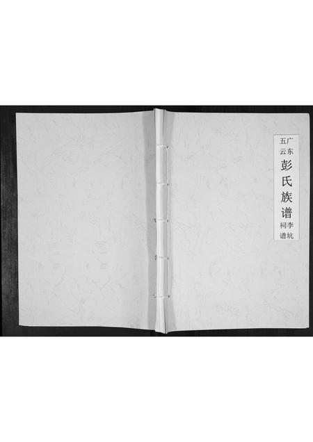 广东彭氏族谱-广东五云彭氏族谱李坑祠谱.pdf电子版插图