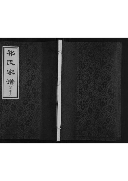 河南祁氏族谱-祁氏家谱[不分卷].pdf电子版插图
