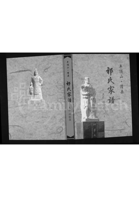 河南祁氏族谱-平顶山滑县祁氏家谱.pdf电子版插图
