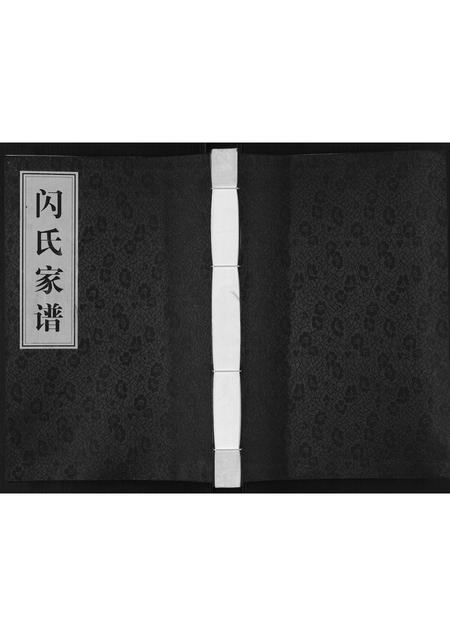 河南闪氏族谱-闪氏家谱[不分卷].pdf电子版