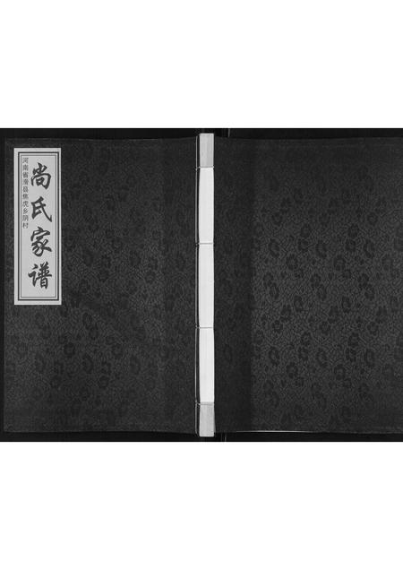 河南尚氏族谱-尚氏家谱[不分卷].pdf电子版