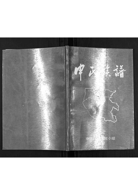 河南申氏族谱-申氏族谱.pdf电子版插图 河南申氏族谱-申氏族谱.pdf电子版插图