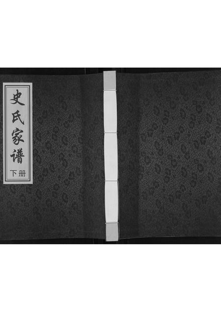 河南史氏族谱-史氏家谱[不分卷].pdf电子版