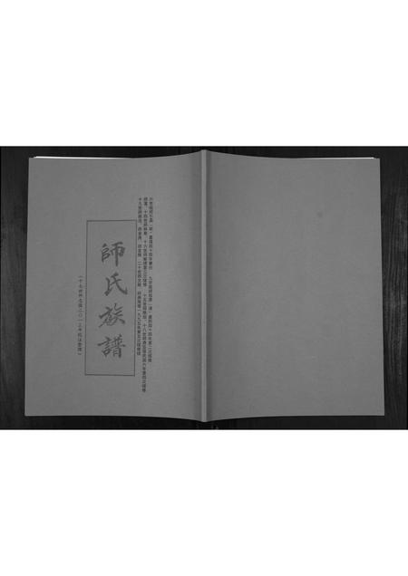 河南帅氏族谱-师氏族谱[不分卷].pdf电子版