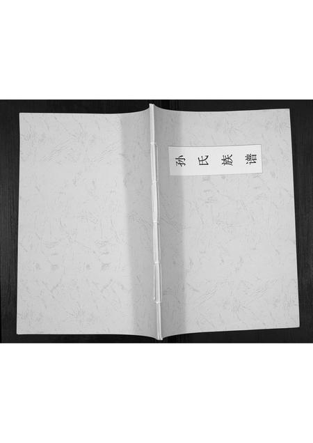 河南孙氏族谱-孙氏族谱[不分卷].pdf电子版插图