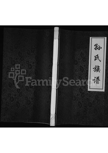 河南孙氏族谱-孙氏族谱.pdf电子版插图