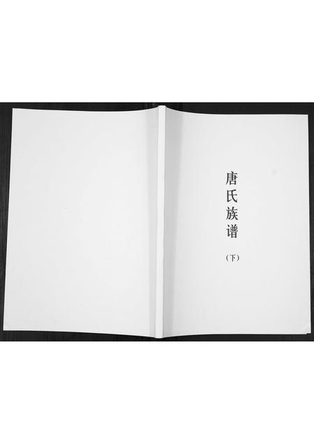 广东唐氏族谱-唐氏族谱.pdf电子版插图