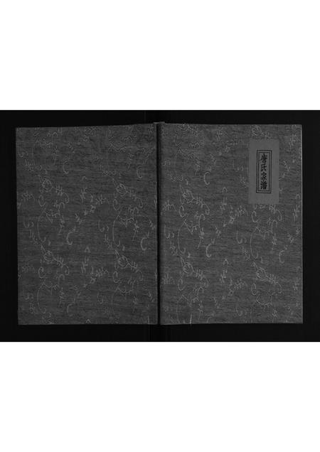 河南唐氏族谱-社旗县唐岗唐氏家谱[不分卷].pdf电子版插图