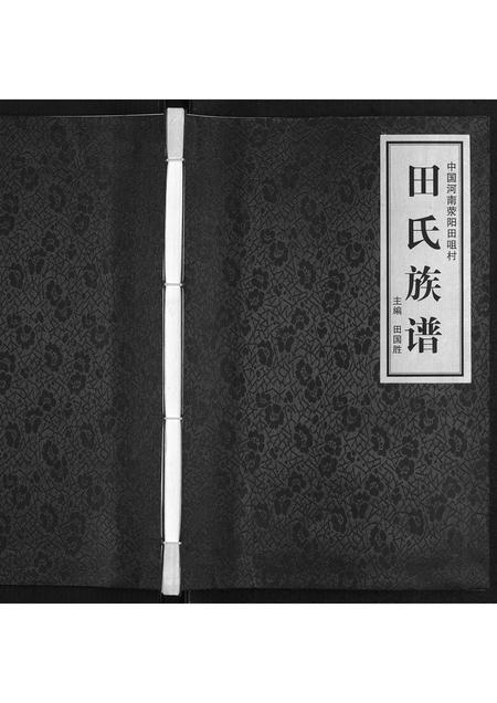 河南田氏族谱-田咀田氏族谱[不分卷].pdf电子版插图