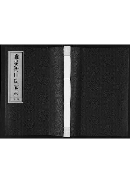 河南田氏族谱-睢阳卫田氏家乘[上下卷].pdf电子版插图