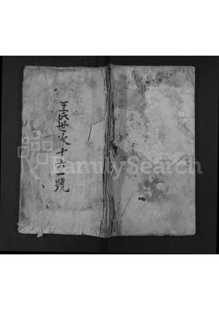 江西、安徽王氏族谱-王氏世次十六一号.pdf电子版插图 江西、安徽王氏族谱-王氏世次十六一号.pdf电子版插图